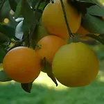 Villanaz 公寓