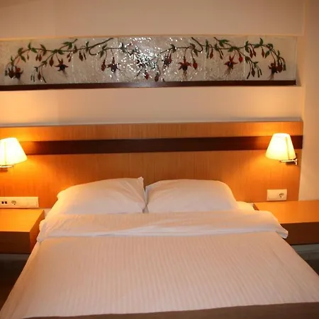 Villanaz Appartement *